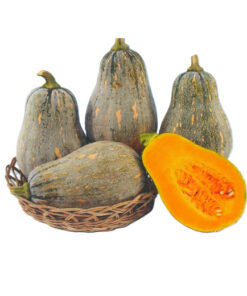 Ngô – Bầu – Dưa