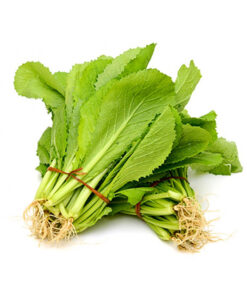 Hạt giống rau ăn lá