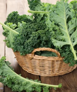 Cải xoăn Kale