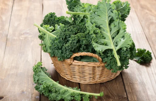 Cải xoăn Kale