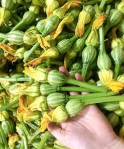 Bí siêu nụ, siêu ngọn