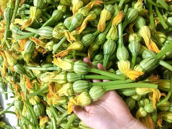 Bí siêu nụ, siêu ngọn