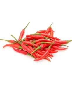 Hạt giống gia vị